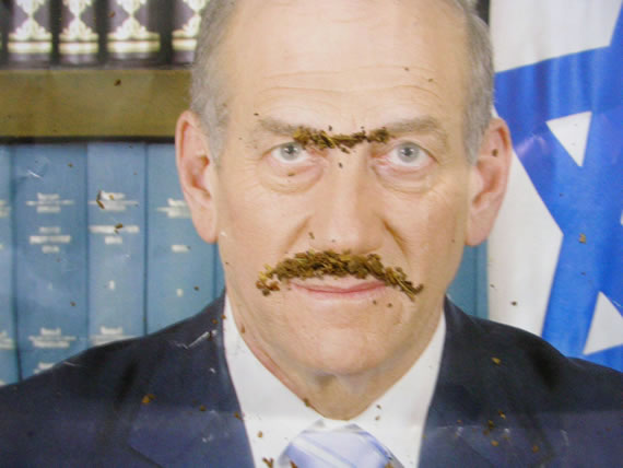 אהוד אולמרט יכול להיות סטלן אם רק ירצה