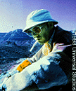 Fear And Loathing In Las Vegas (1997) פחד ותיעוב בלאס וגאס